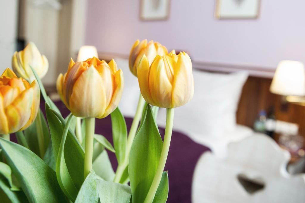 Hotel Elch Нюрнберг Екстер'єр фото